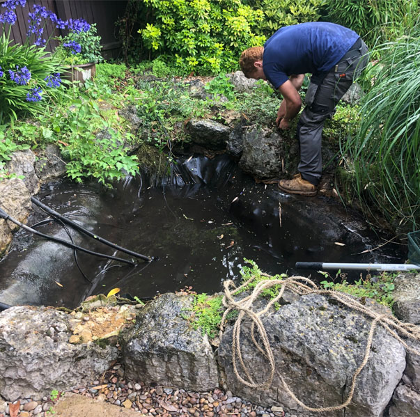 Bespoke ponds