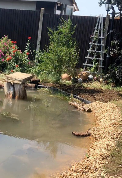 waterscapes & aquascapes
