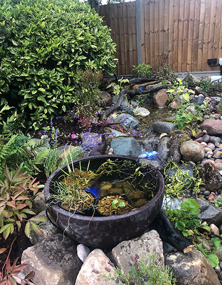 pond construction bedfordshire
