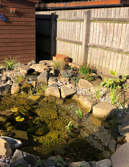 custom pond company