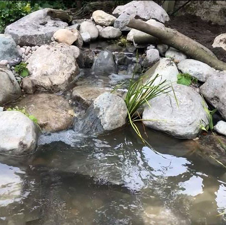 Bespoke ponds