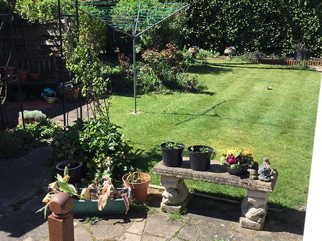 View of existing garden from house